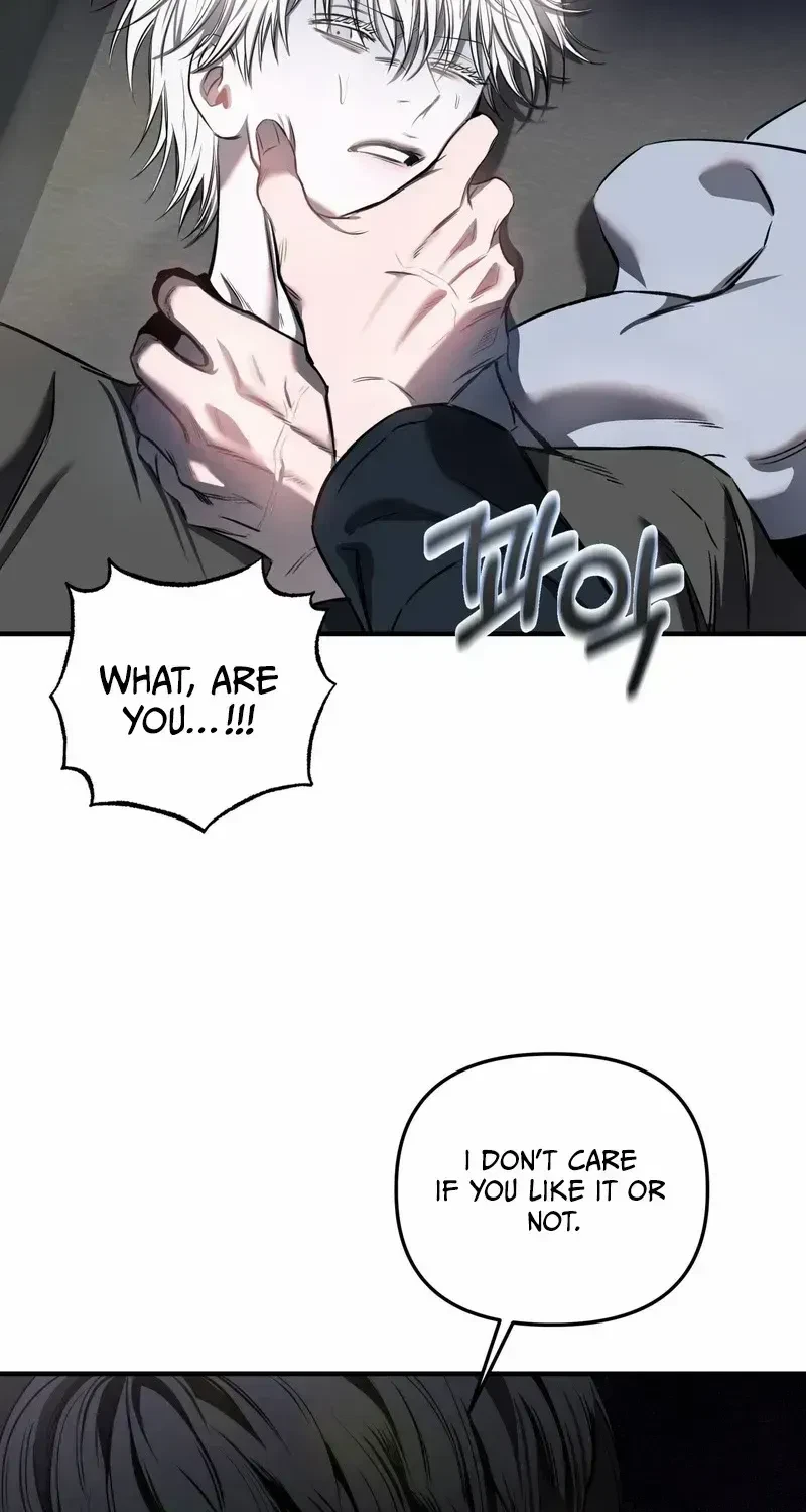 Chapter 2.1, page 86