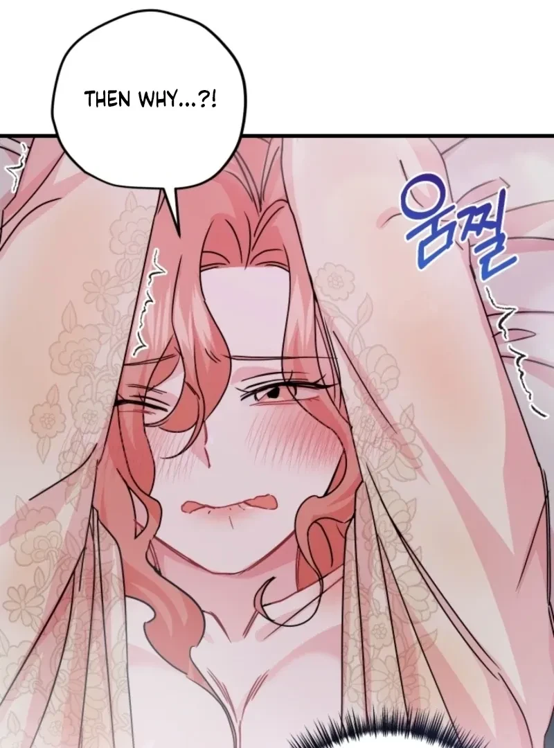 Chapter 2, page 19