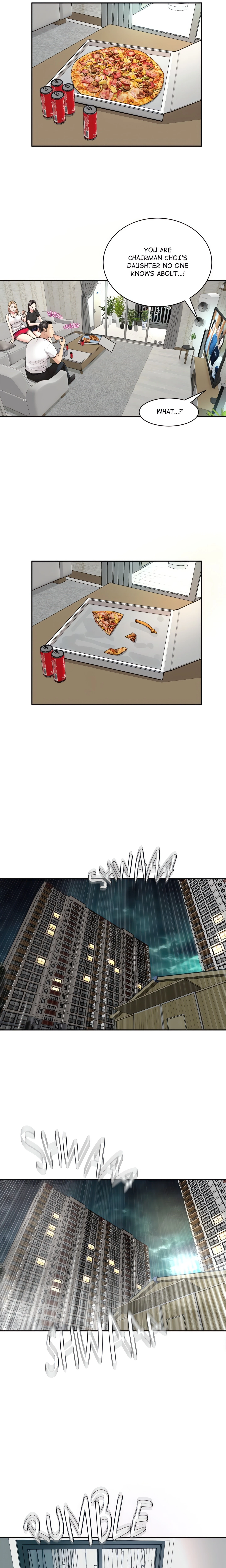 Chapter 1, page 17