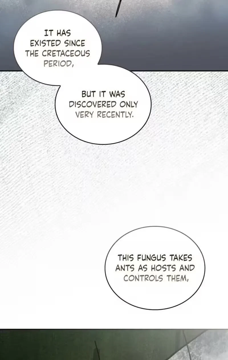 Chapter 19, page 81