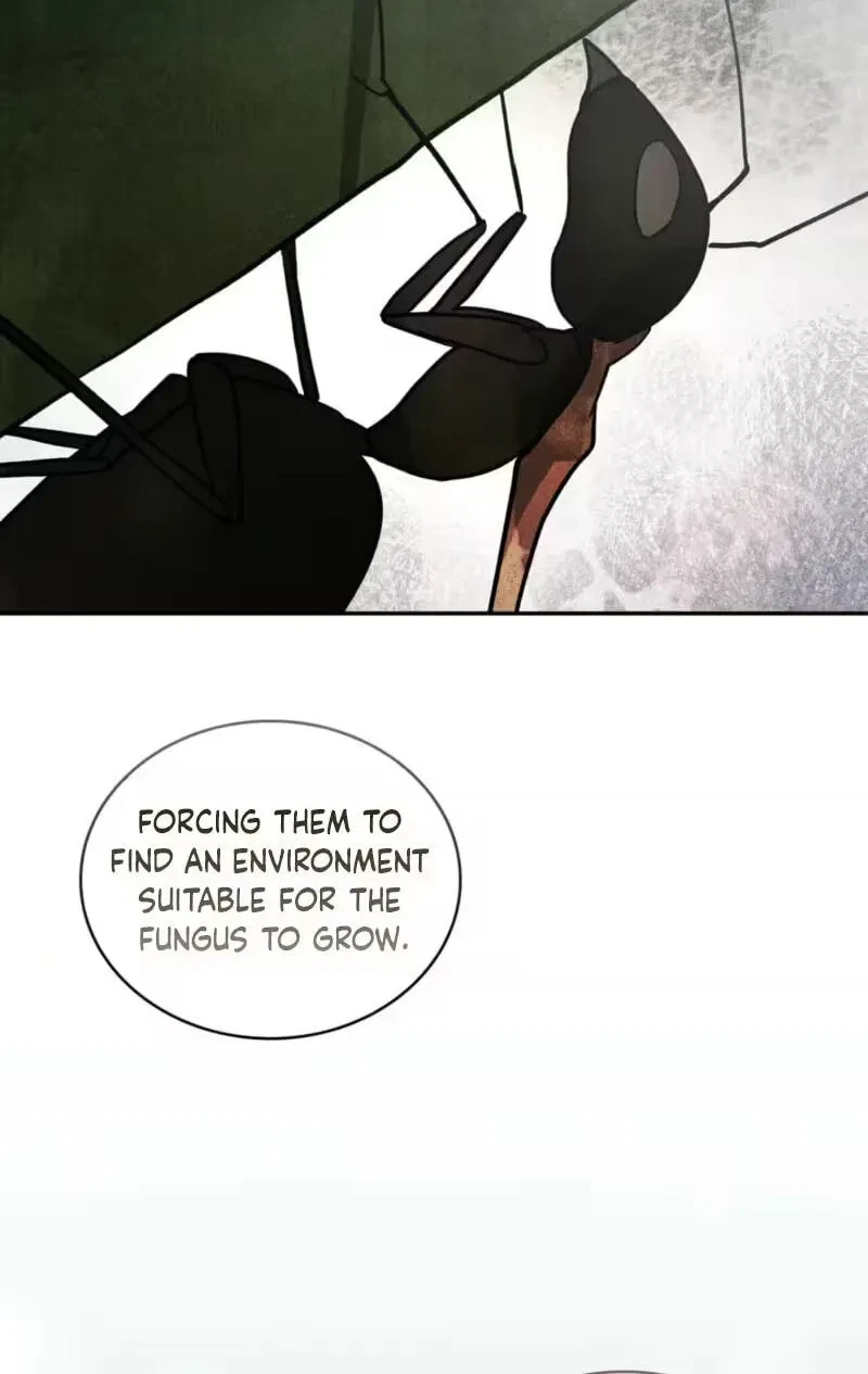 Chapter 19, page 82