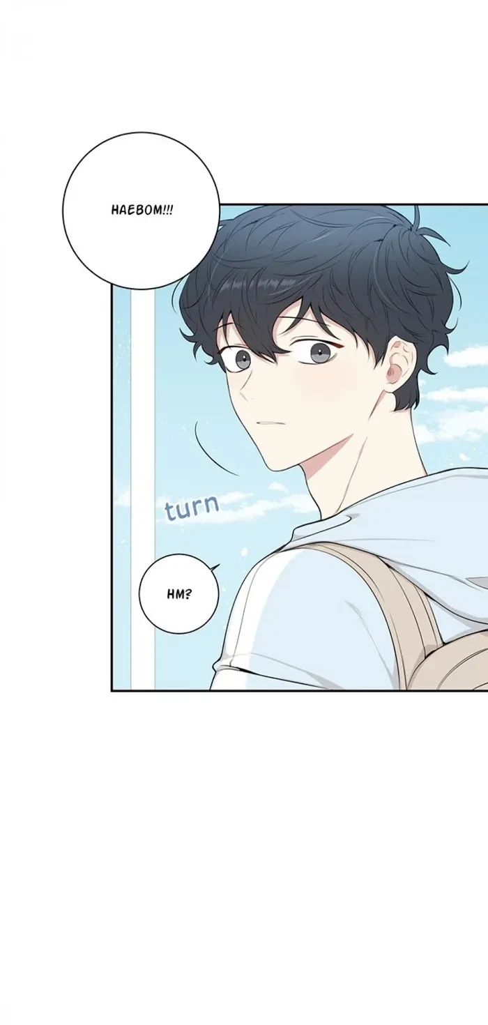 Chapter 81, page 19