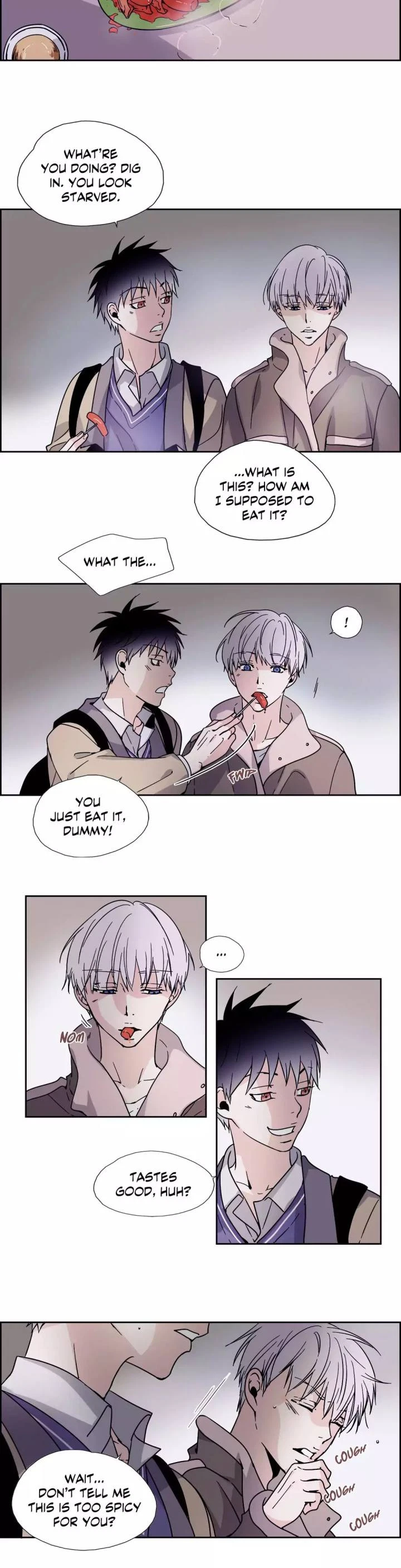 Chapter 1, page 13