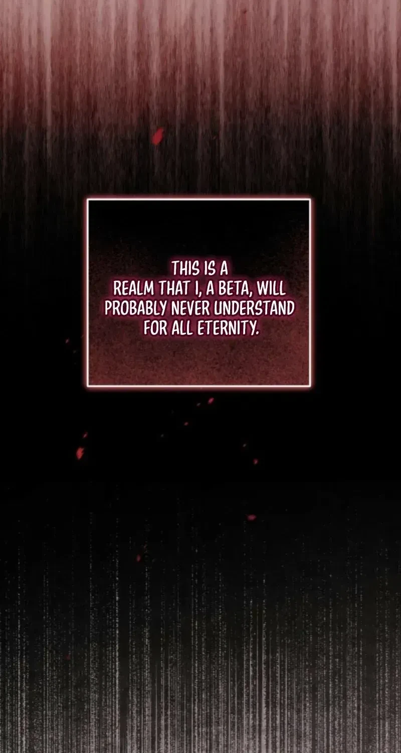 Chapter 2.1, page 50