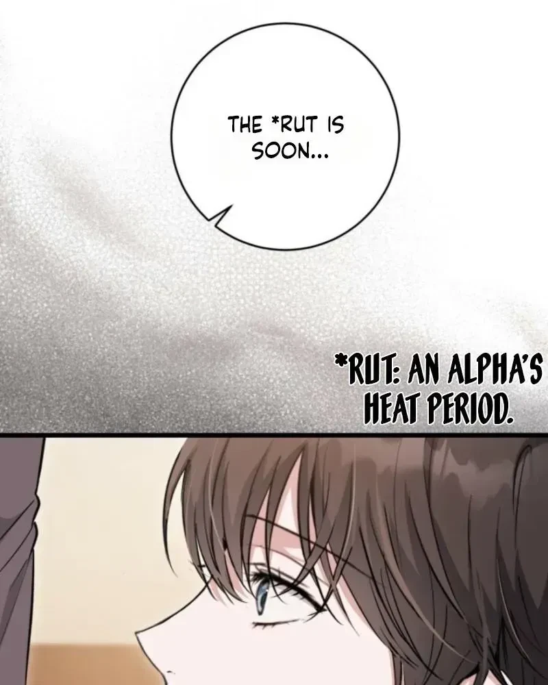 Chapter 2.1, page 60