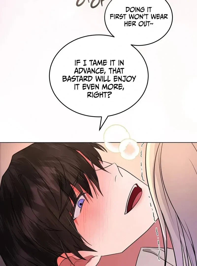 Chapter 3, page 67