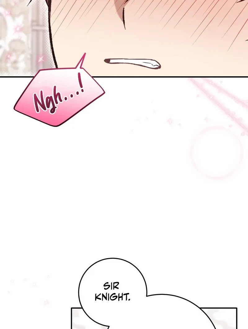 Chapter 2, page 102