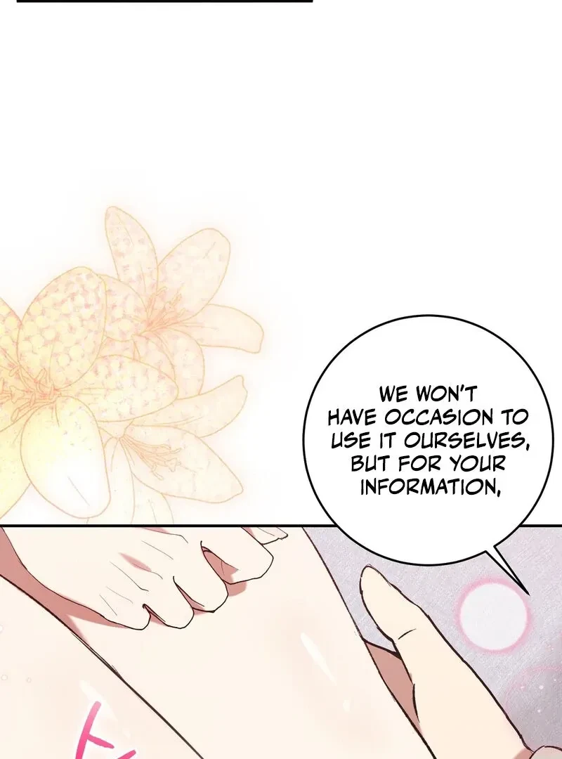 Chapter 2, page 19