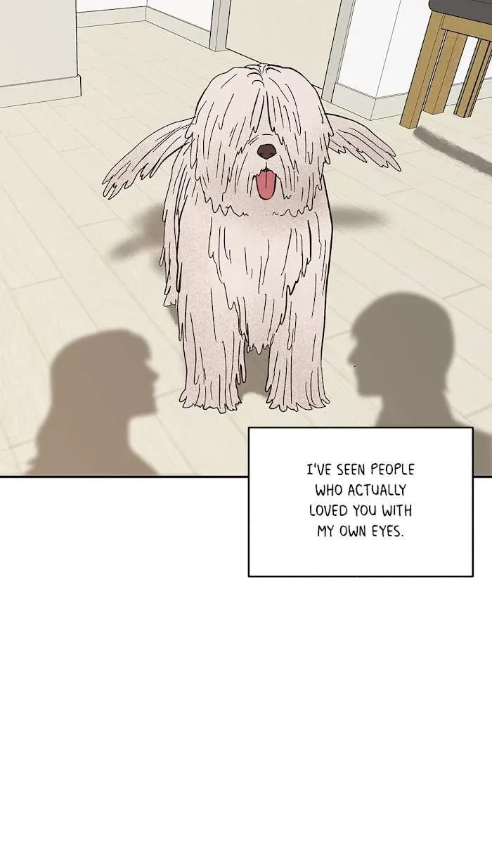 Chapter 37.4, page 17