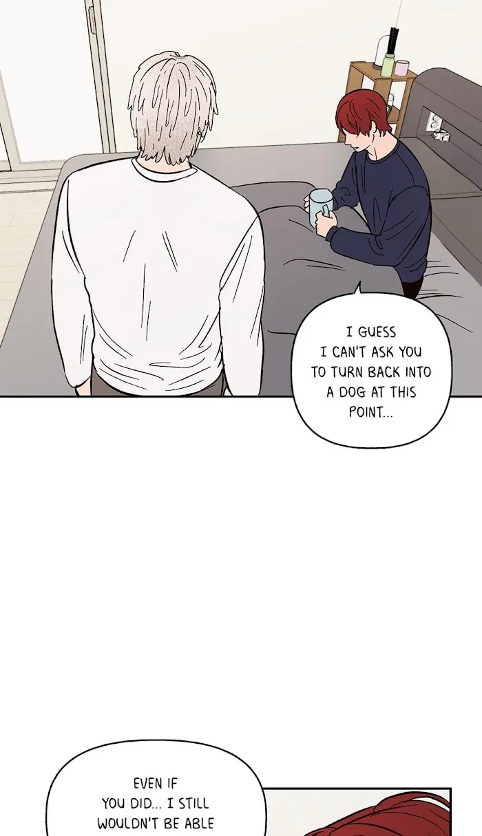 Chapter 37.4, page 67