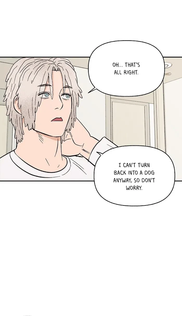 Chapter 37.4, page 70