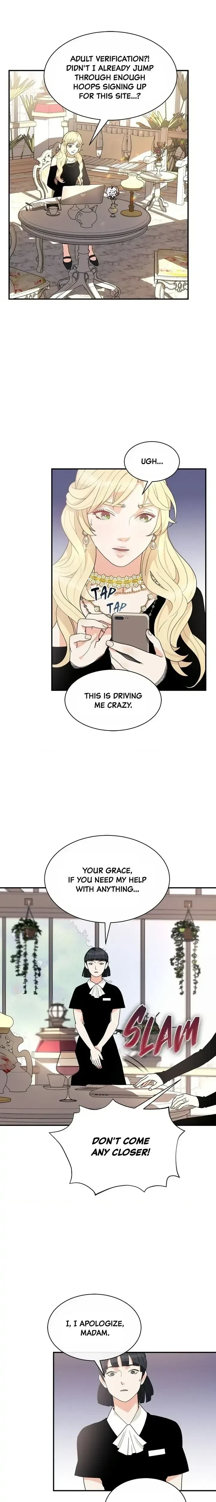Chapter 3, page 17