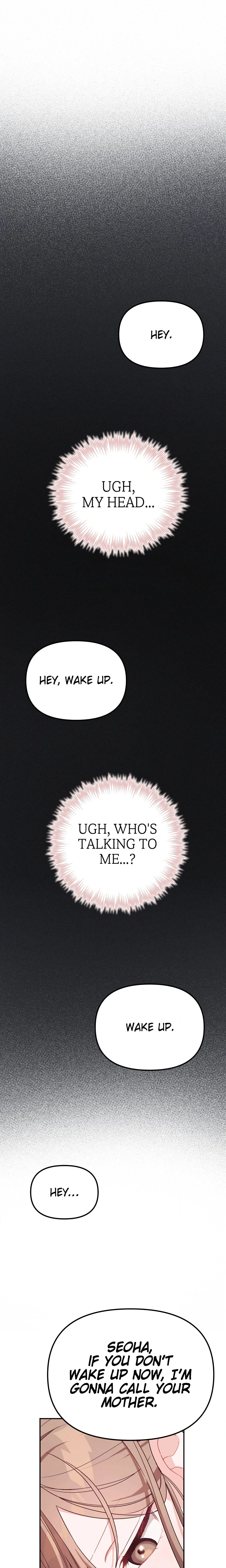 Chapter 1, page 26