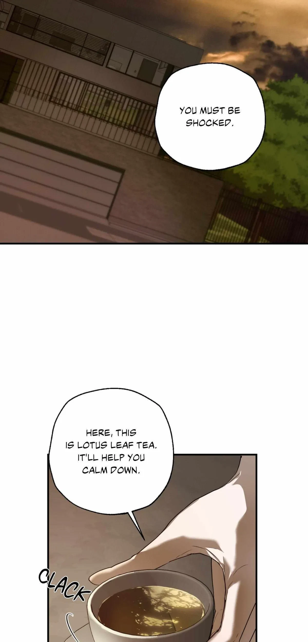 Chapter 2, page 20