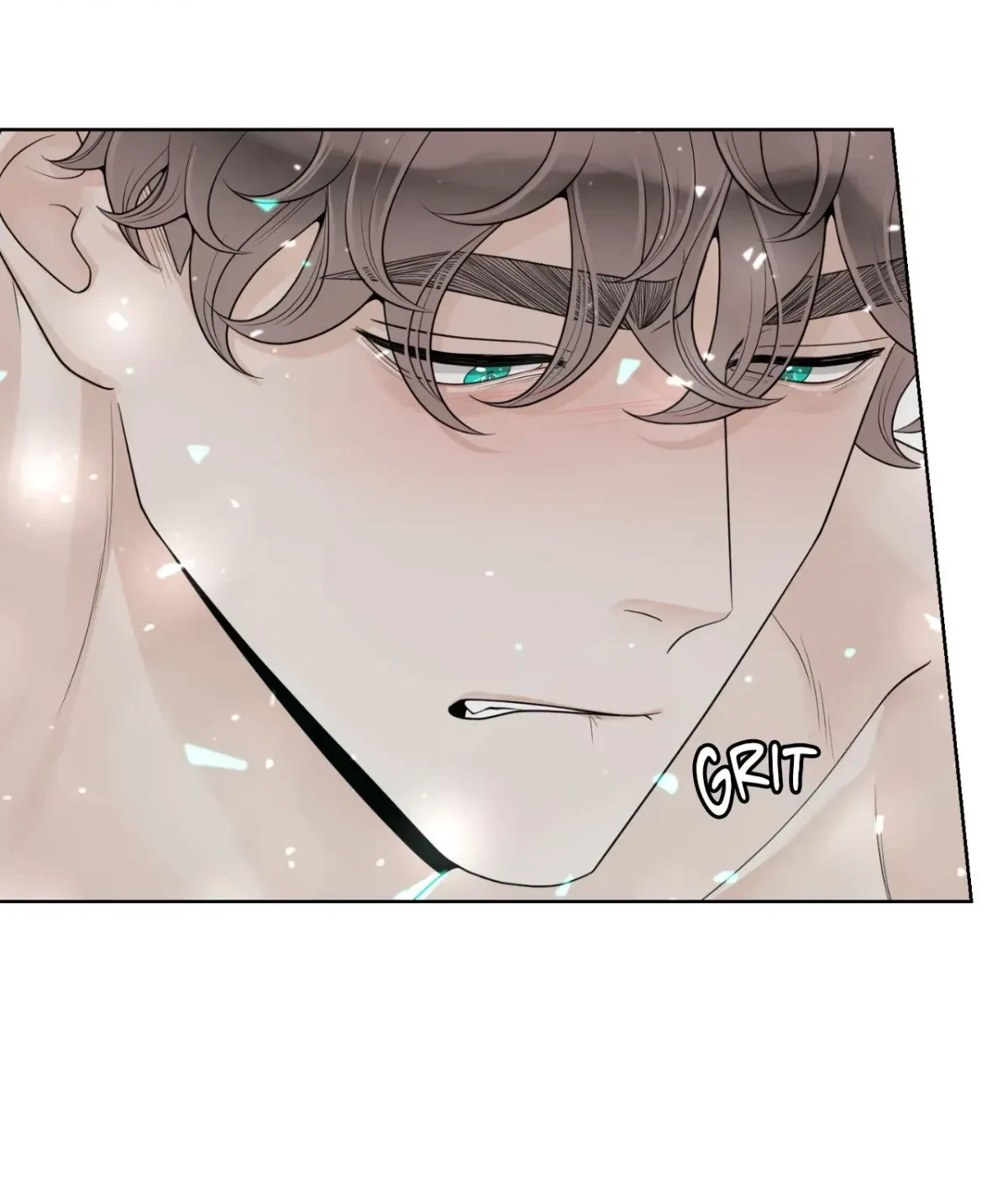The Alpha's Mate Chapter 78, page 104