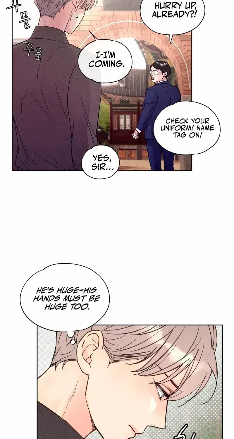 Chapter 3.8, page 11