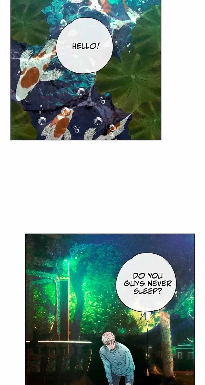 Chapter 3.8, page 54
