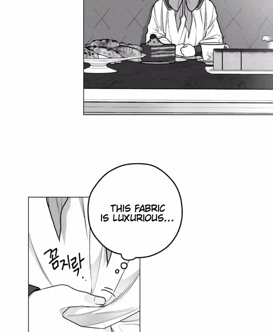 Chapter 2.4, page 5