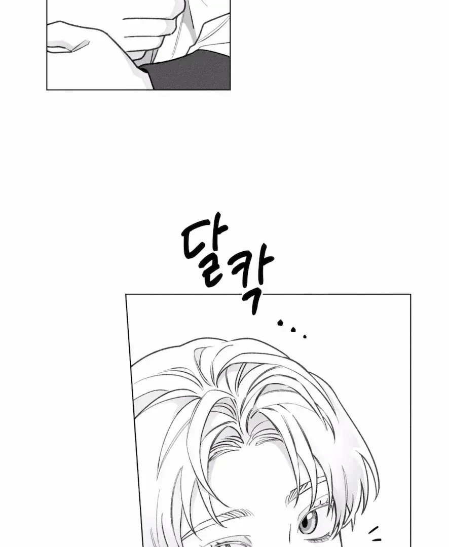 Chapter 2.4, page 6