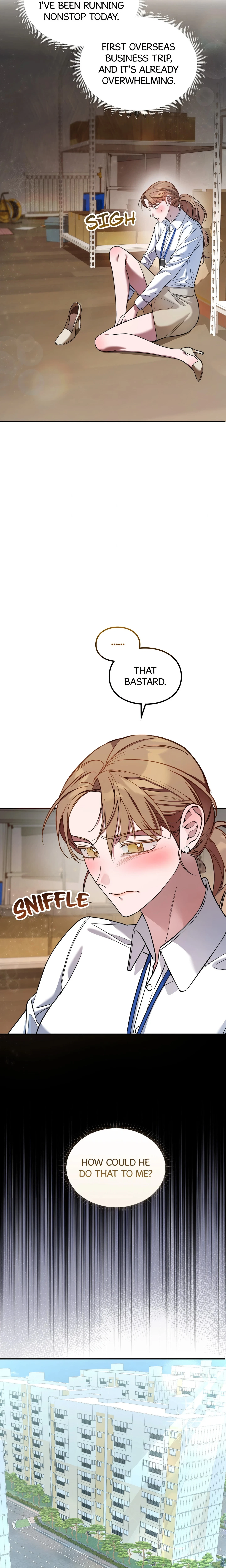 Chapter 1, page 17