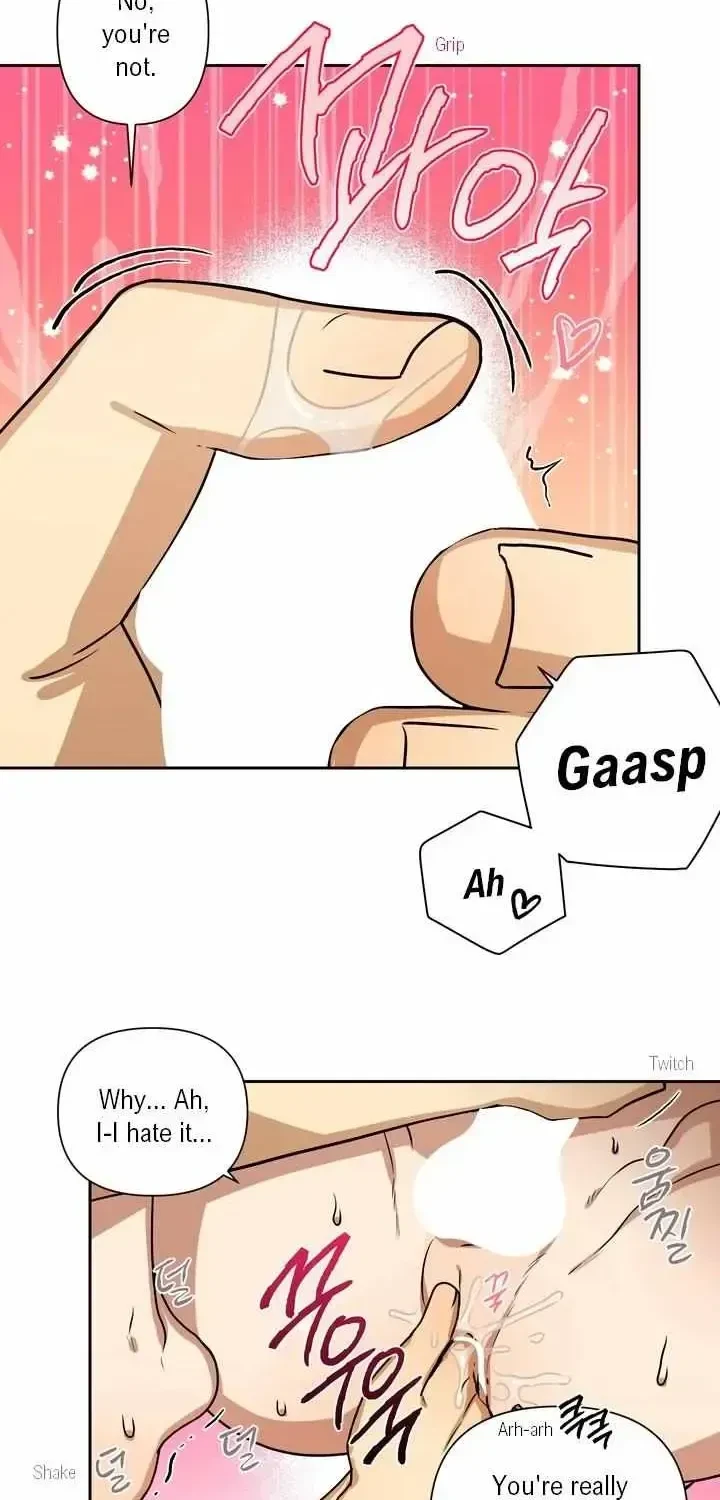 Chapter 1.3, page 36
