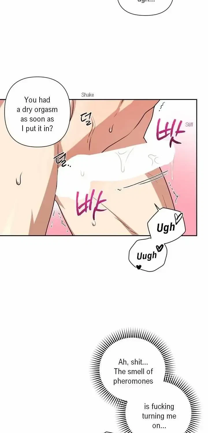 Chapter 1.3, page 46