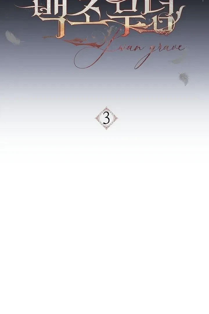 Chapter 3.1, page 62