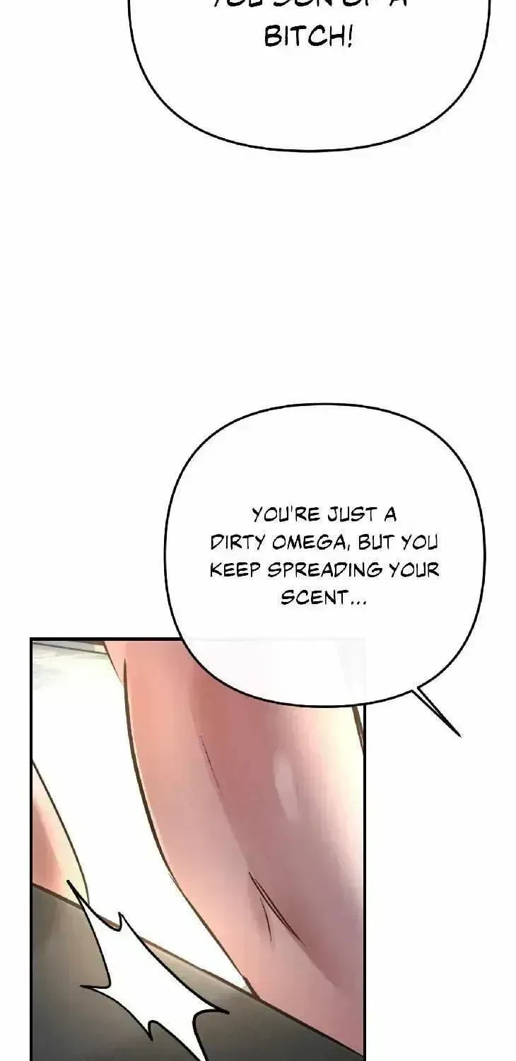 Chapter 2.9, page 31