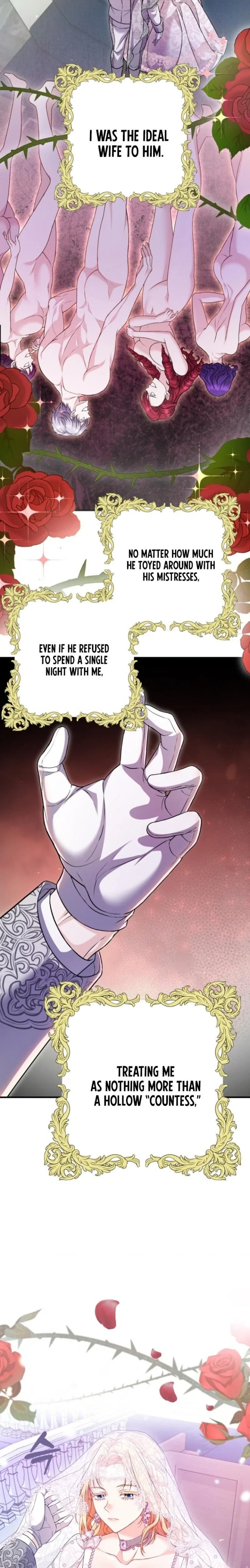The Covert Of The Countess Chapter 1, page 19