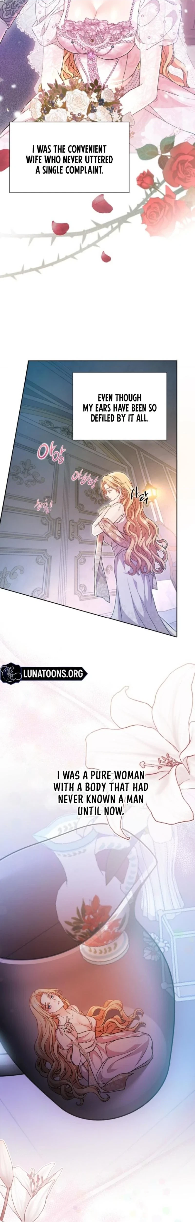 The Covert Of The Countess Chapter 1, page 20