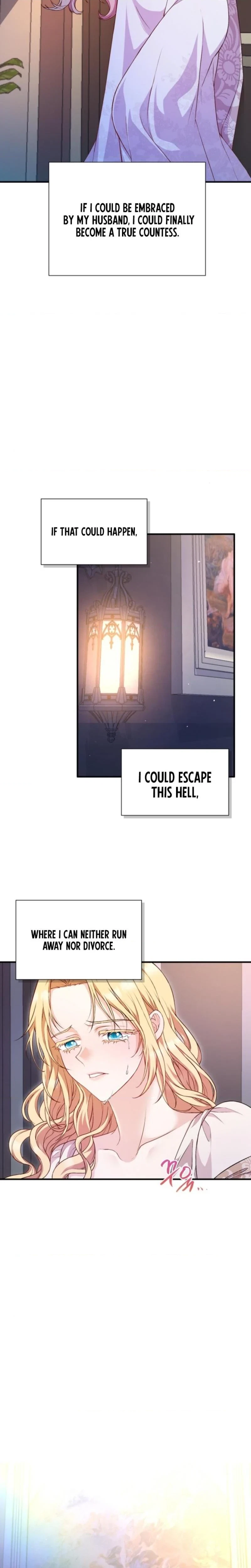 The Covert Of The Countess Chapter 1, page 25