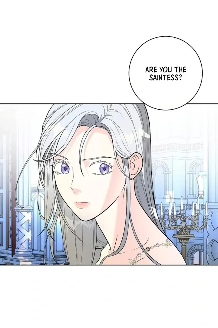 Chapter 2, page 103
