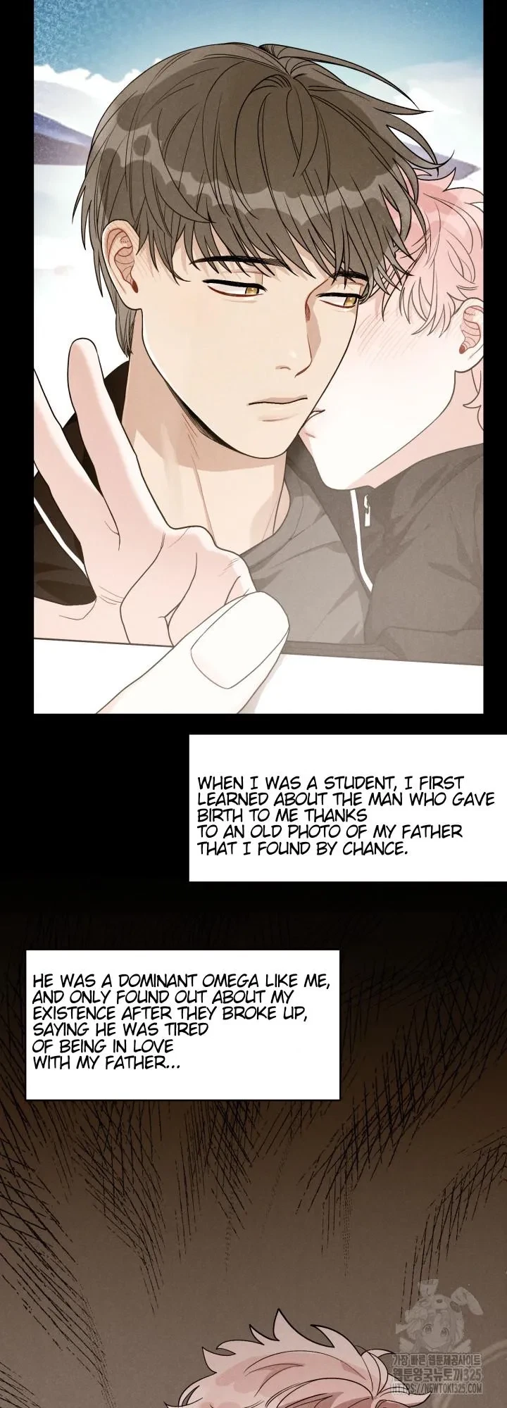 Chapter 4, page 19