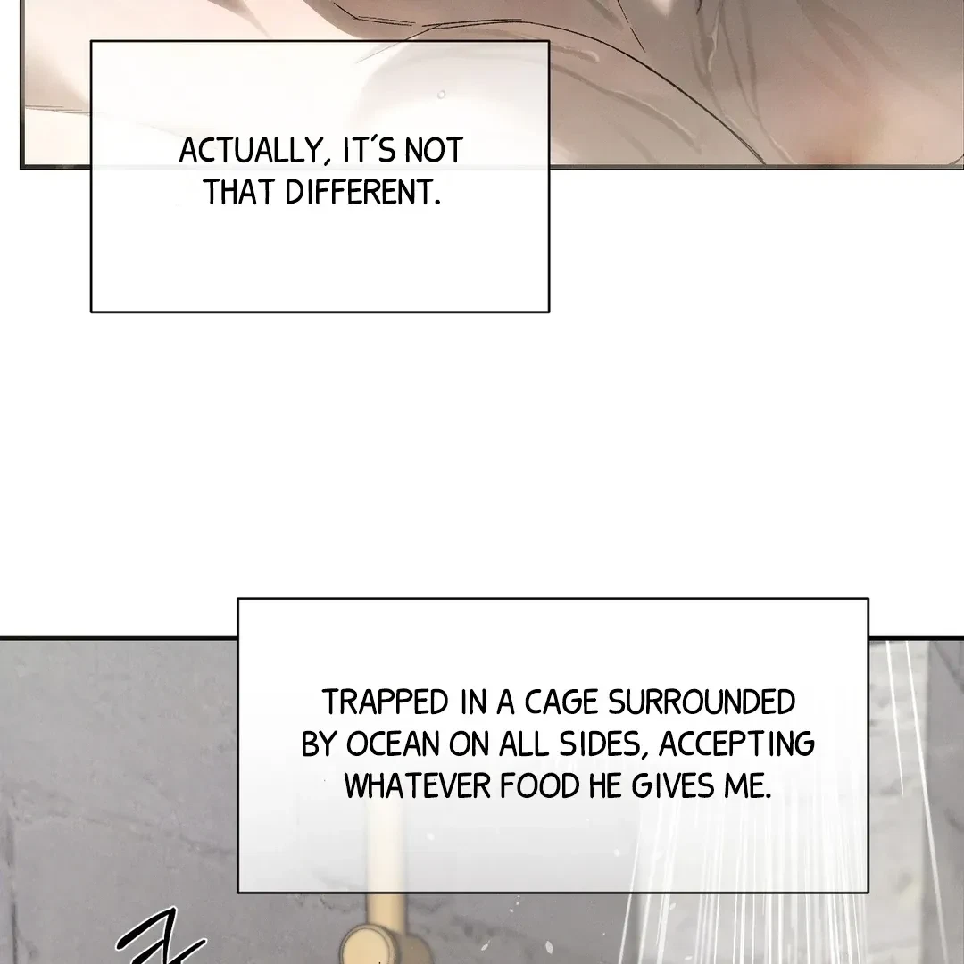 Chapter 58, page 62