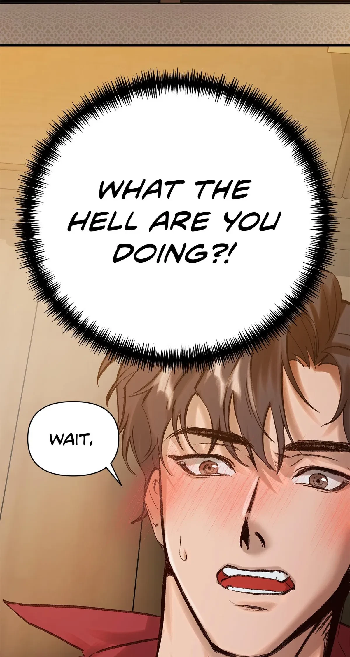 Chapter 1, page 5