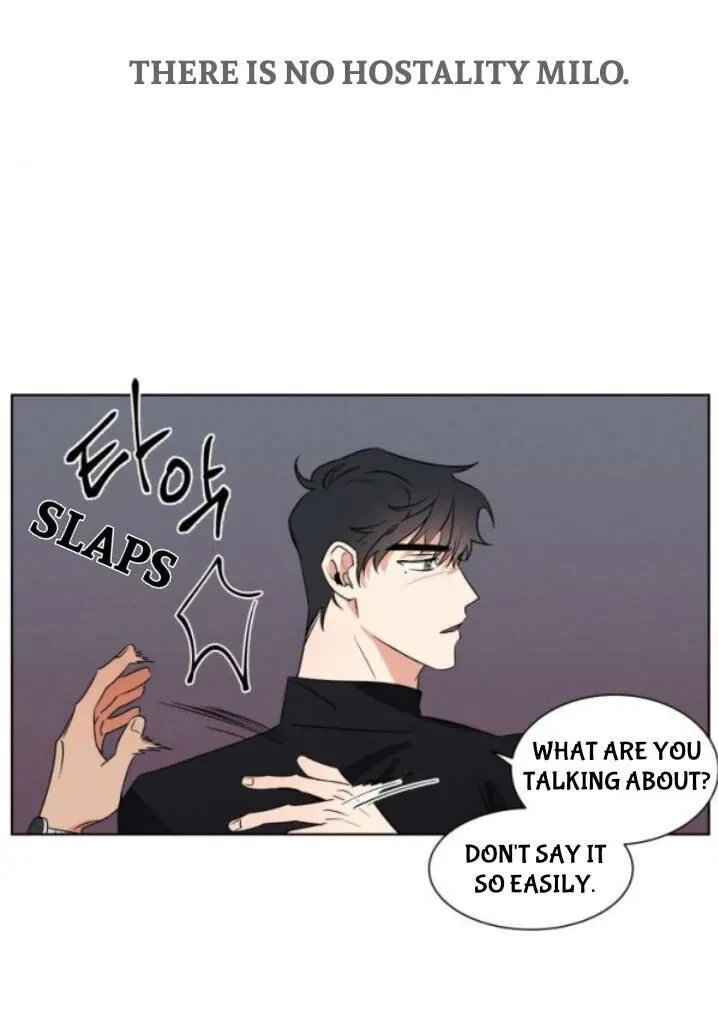 Chapter 4.1, page 13