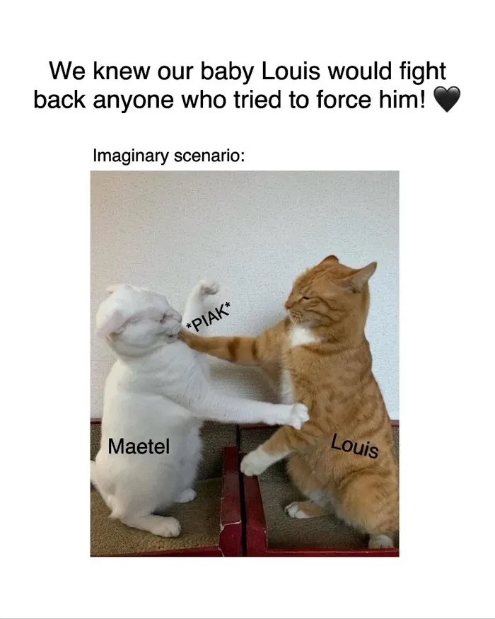 Chapter 16, page 81