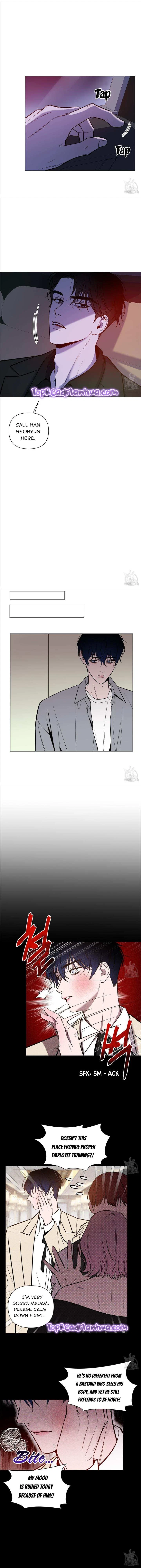 Dawn After Darkness Chapter 10, page 8