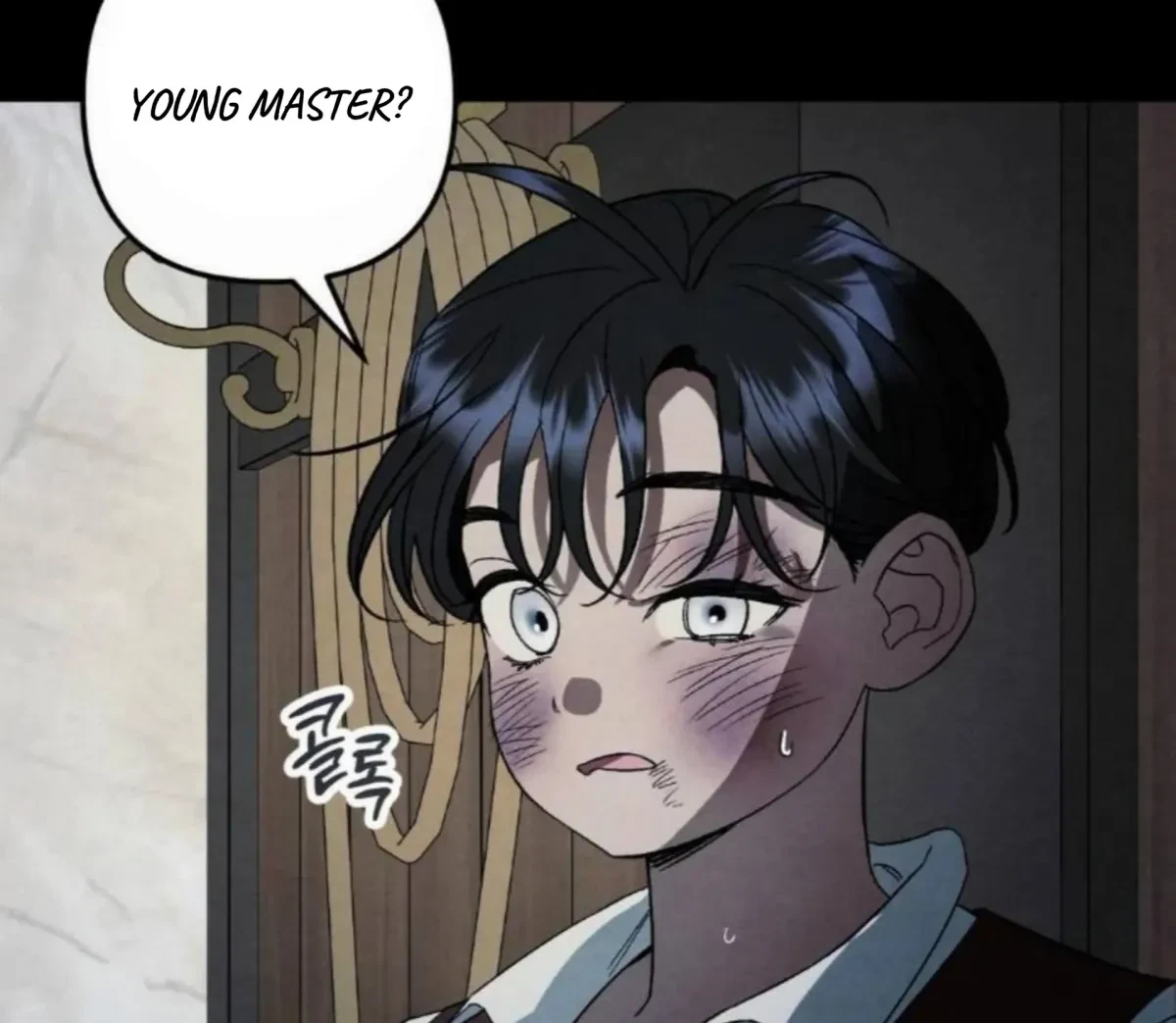Chapter 5, page 90