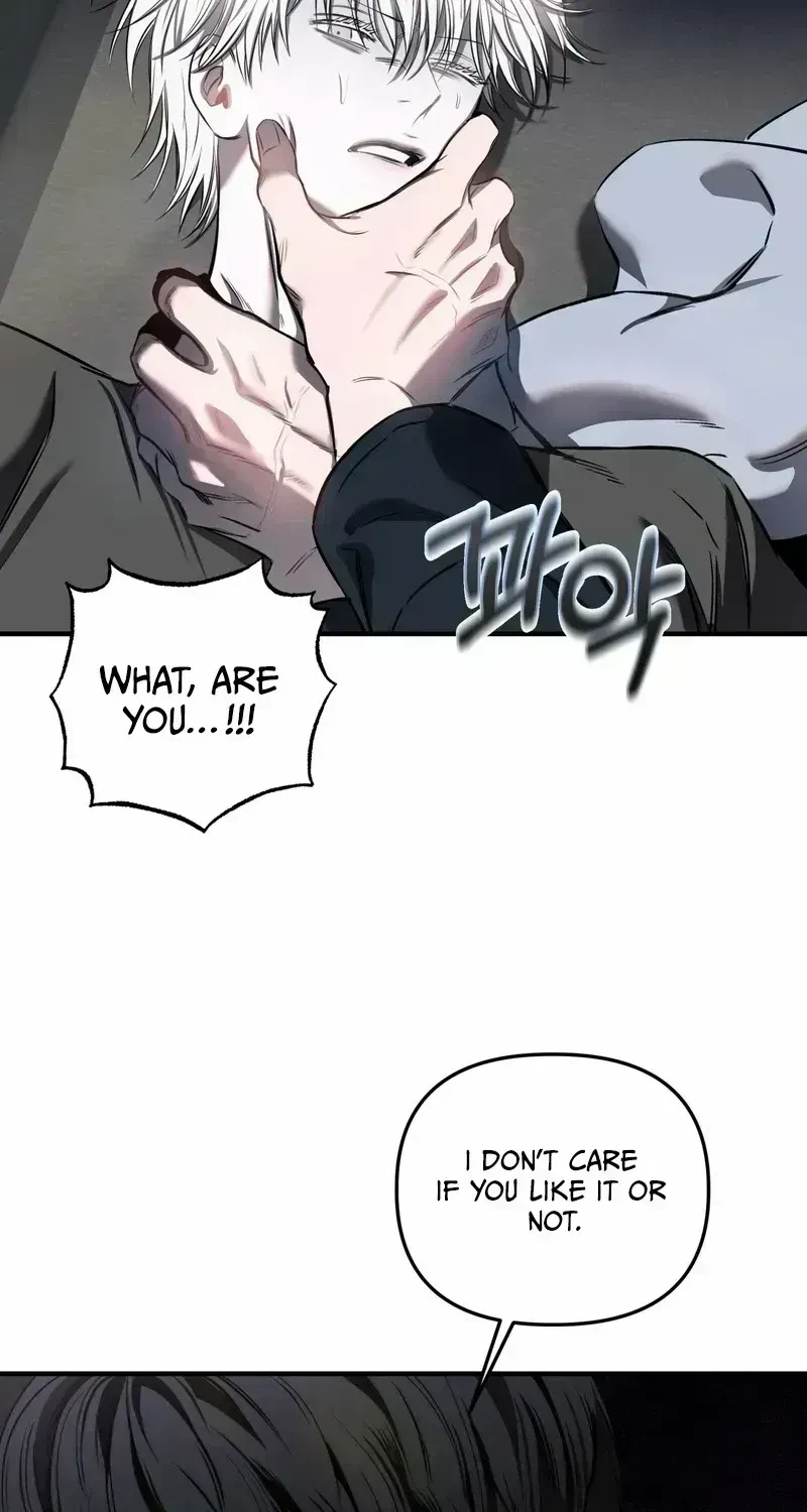 Chapter 2.5, page 86