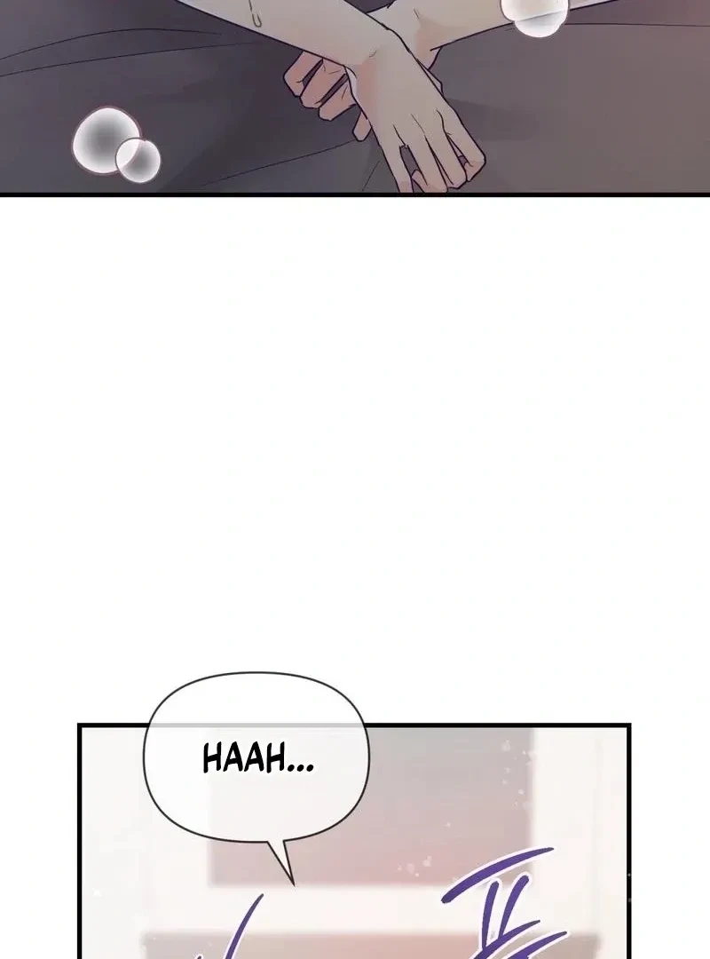 Chapter 4, page 41