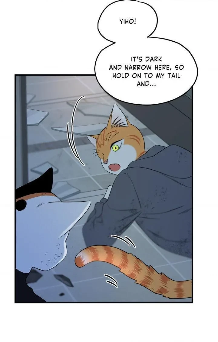 Chapter 101, page 23