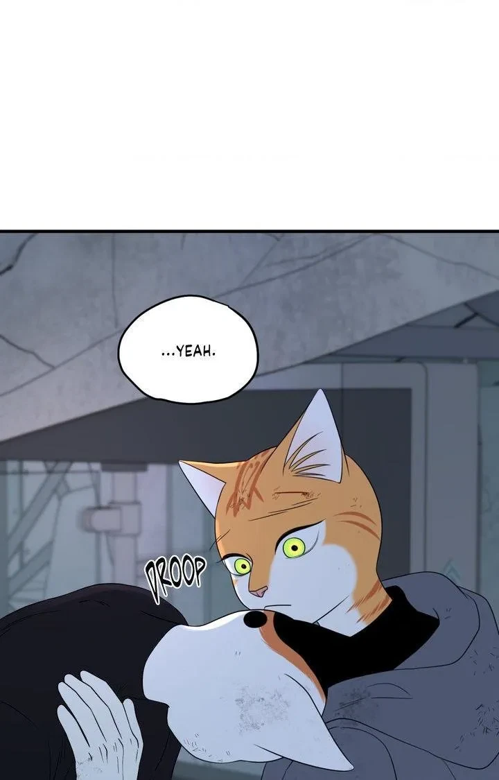 Chapter 101, page 35