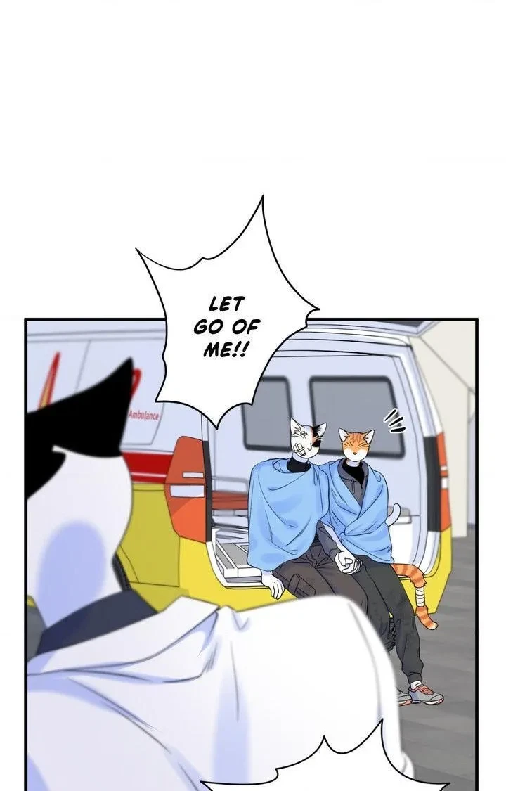 Chapter 101, page 64