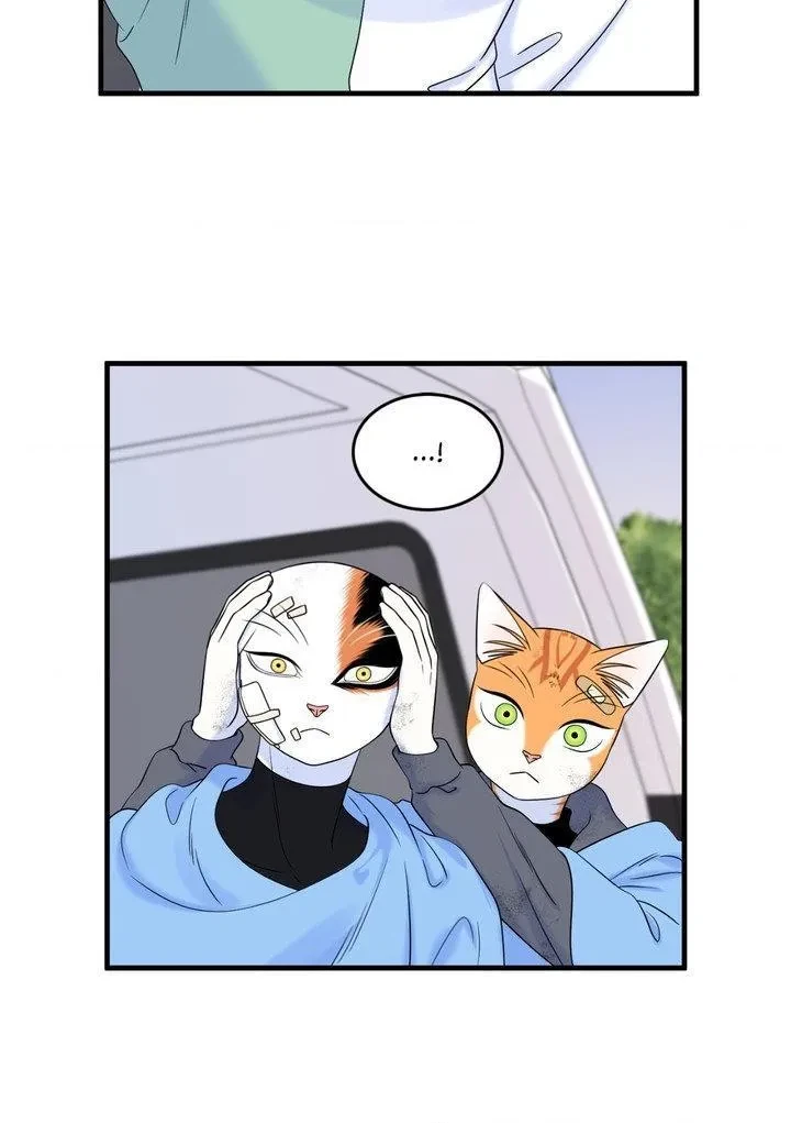 Chapter 101, page 71