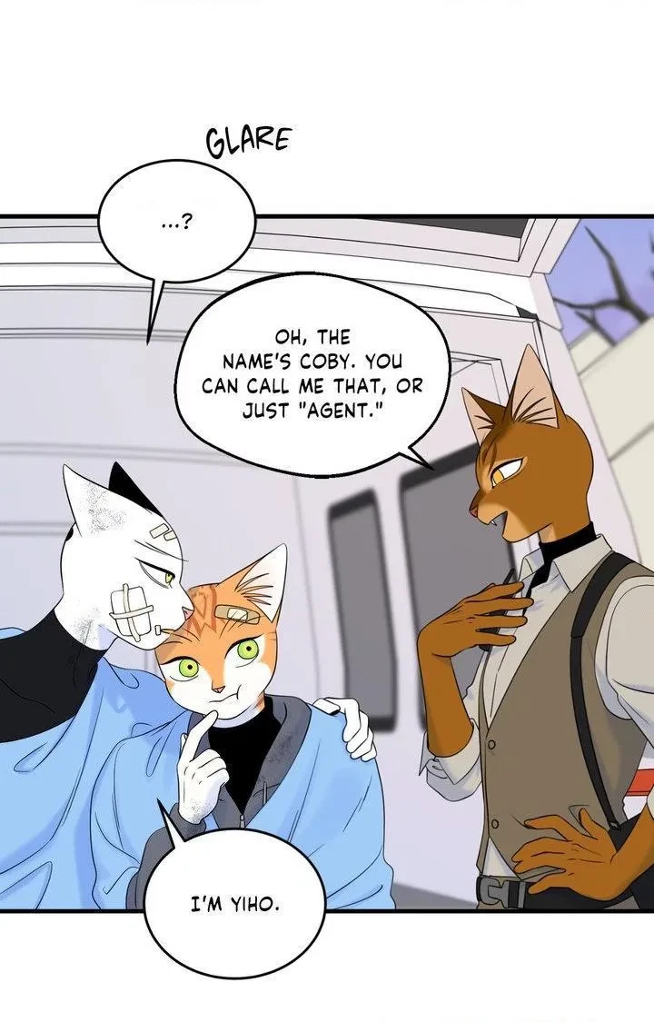 Chapter 101, page 81