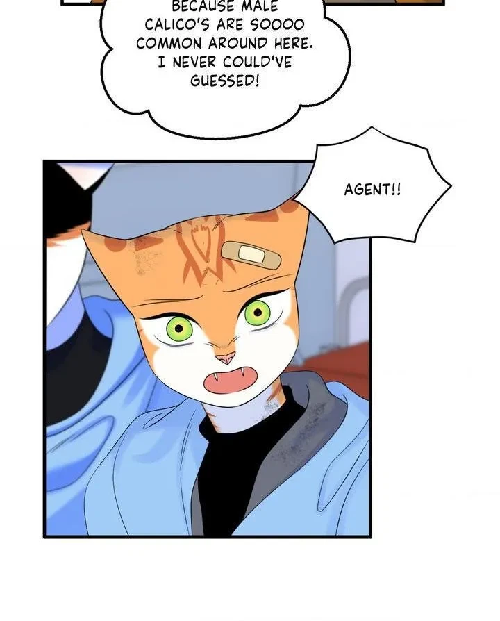 Chapter 101, page 83