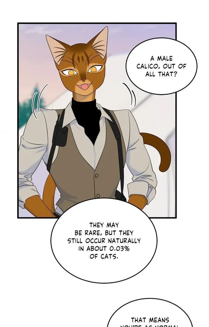 Chapter 101, page 87