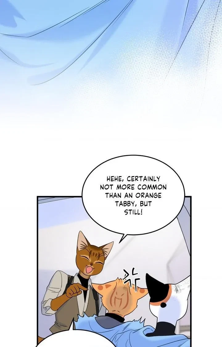 Chapter 101, page 89