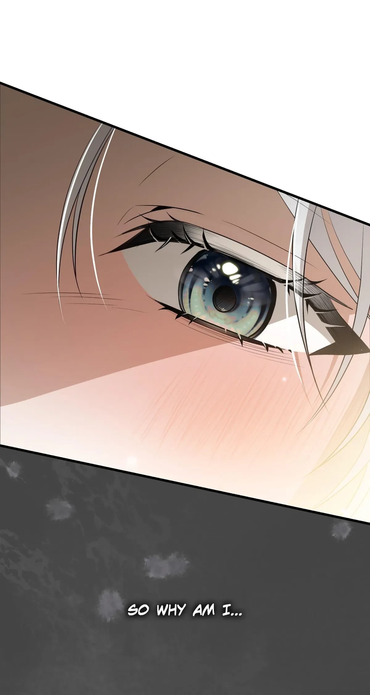 Chapter 25.05, page 102